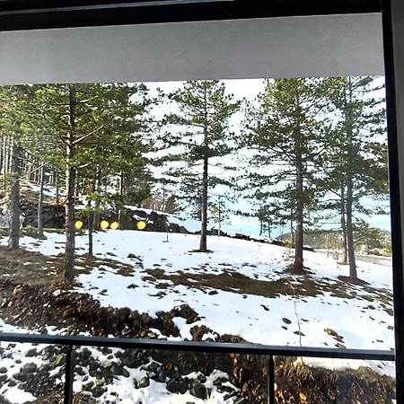 Forest Side Apartment