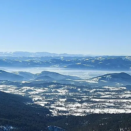 Appartement Forest Side *