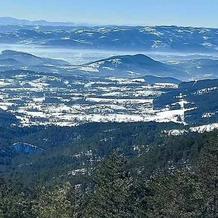 Forest Side Divčibare