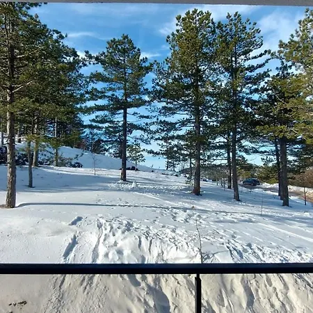 דירה Forest Side