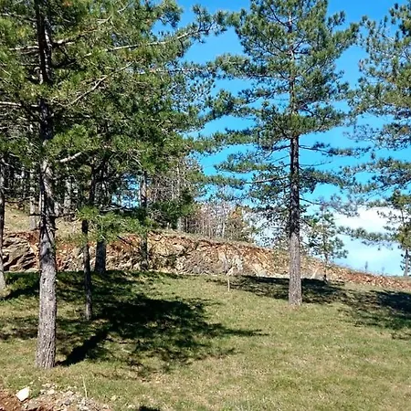 דירה Forest Side