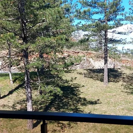 Forest Side *