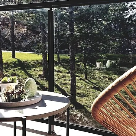Forest Side * Divcibare