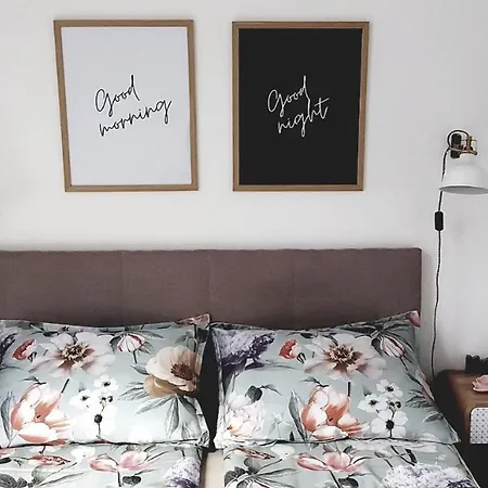 Forest Side Divčibare