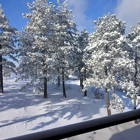 Forest Side דירה *