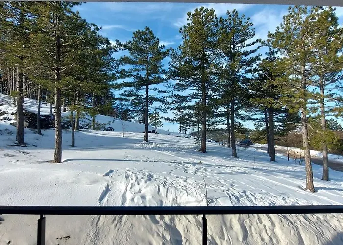 Апартаменты Forest Side