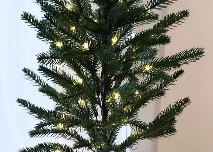 Lejlighed Forest Side Divčibare