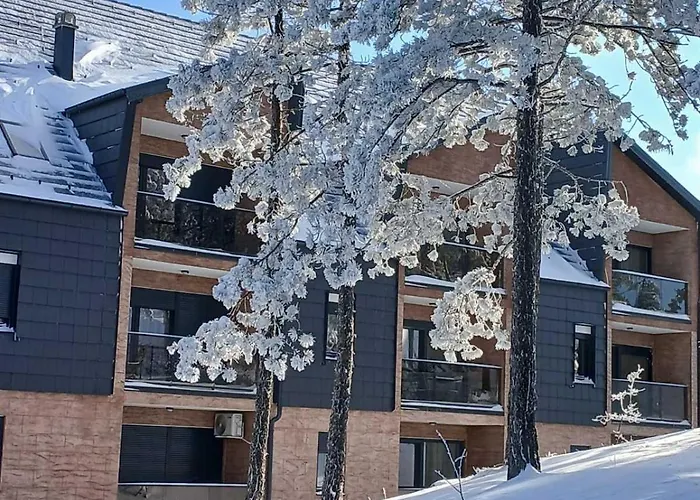 Forest Side Divčibare