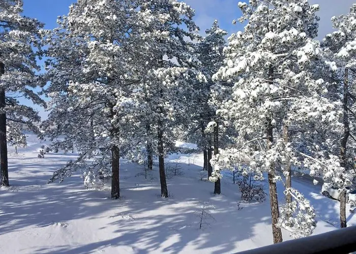 Forest Side Lejlighed *